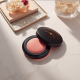 Shiseido Dreamy Whipped Powder Blush