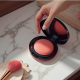 Shiseido Dreamy Whipped Powder Blush